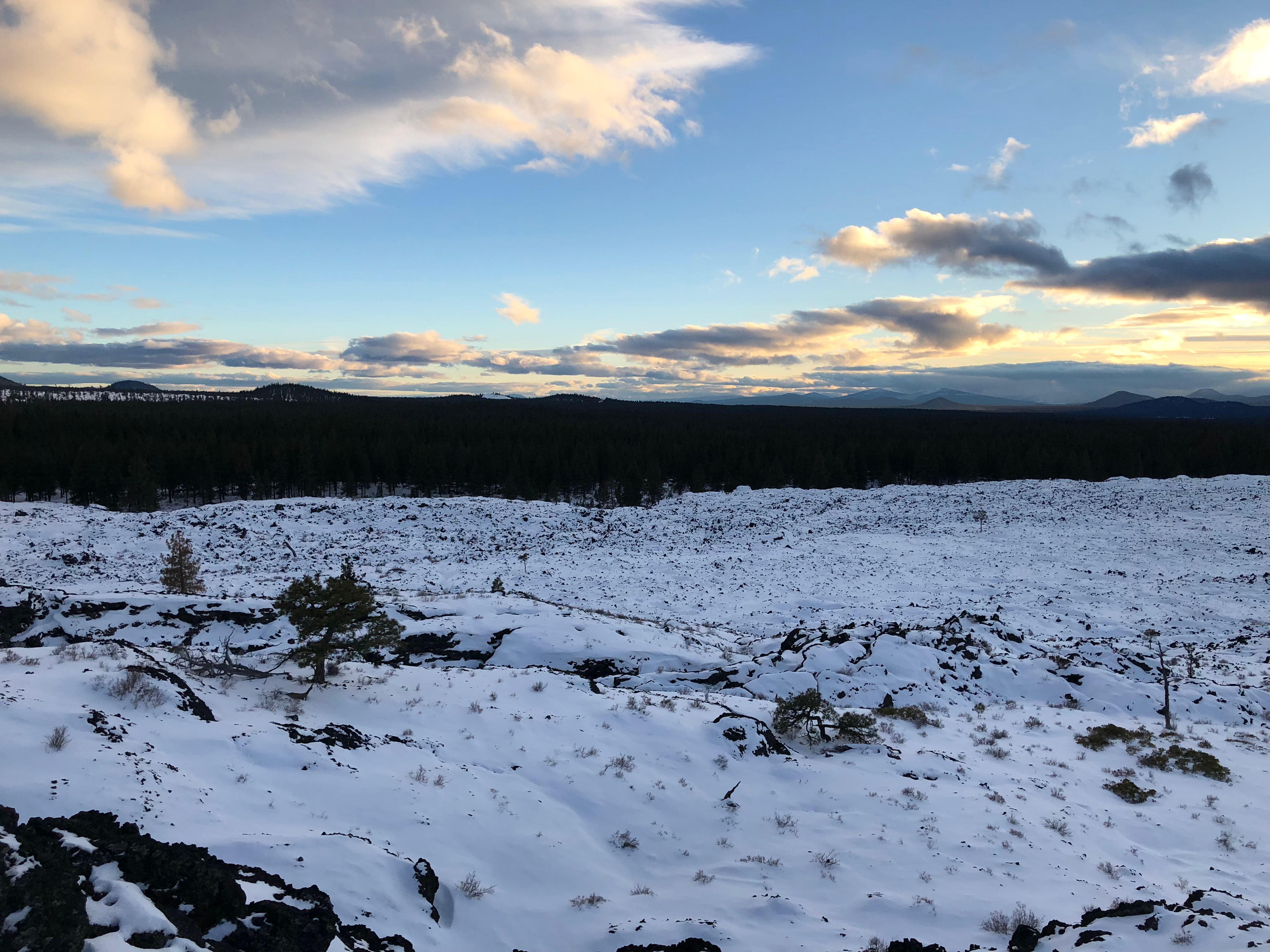 A playlist to bring your mind back to freedom