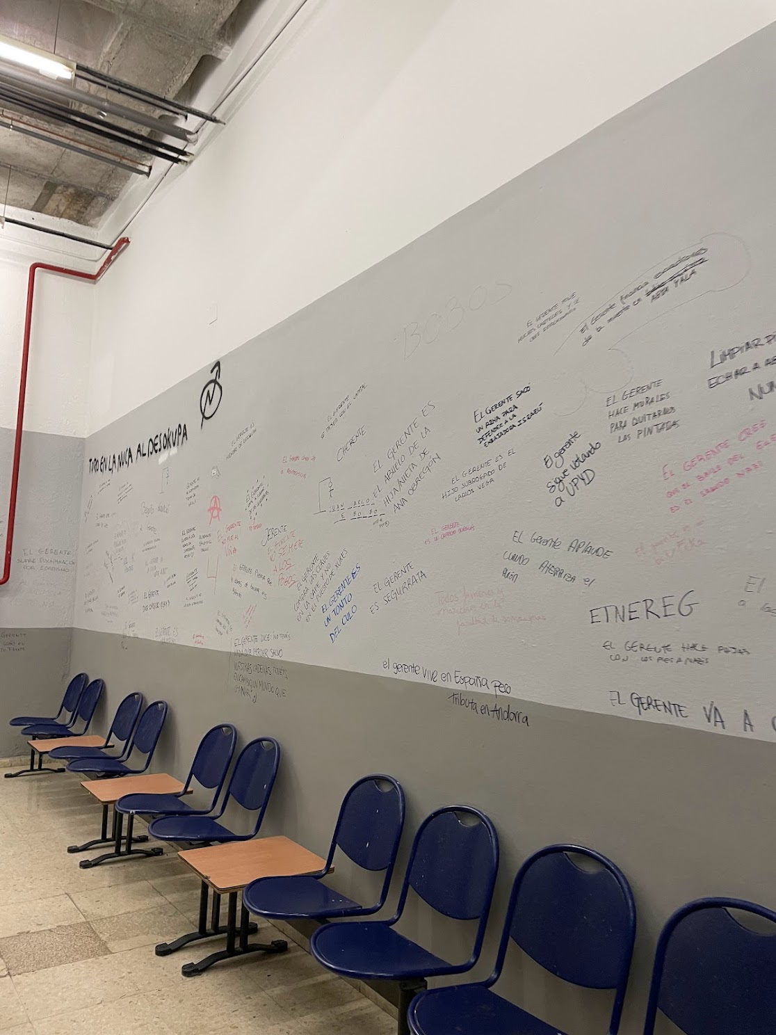 the man in the grey suit